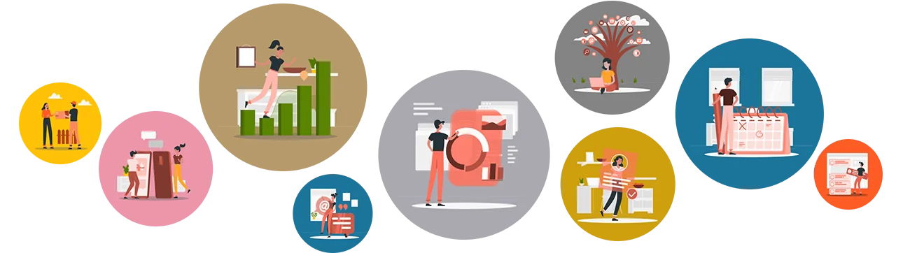 Descripción de la imagen